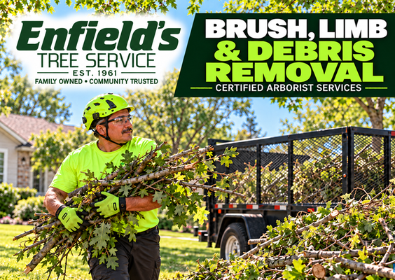 brush-limb-debris-removal